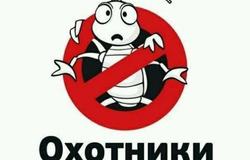 Предлагаю: Тараканы клопы Барнаул в Барнауле - объявление №100833