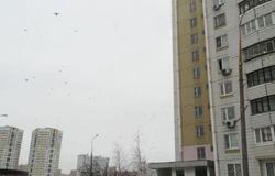 1-к квартира, 38 м² 8 эт. в Москве - объявление №118680