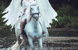 Предлагаю: Прогулка на лошадях,экскурсия и фотосессия от конного  клуба Зевс в Хабаровске - объявление №119736