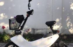Honda zook в Краснознаменске - объявление №1290154