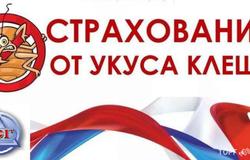 Предлагаю: Страхование от УКУСА КЛЕЩА. в Барнауле - объявление №134312