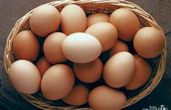 Продам: Яйца домашние куриные в Рузаевке - объявление №1351038