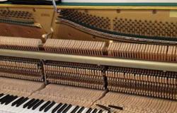 Предлагаю: Настройка и ремонт пианино и роялей в Омске - объявление №139448