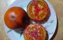 Продам: Семена экзотических и урожайных сортов томатов в Барнауле - объявление №1412031