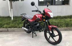 Мотоцикл, мопед Альфа LYX 110 в Перми - объявление №1412489