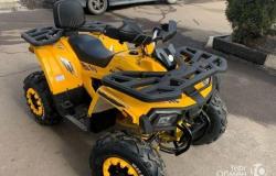 Квадроцикл motoland ATV 200 wild track б/у в Кургане - объявление №1440361