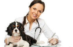Предлагаю: Ветеринарный врач в Краснодаре - объявление №150636