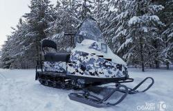 Снегоход promax snowbear V1 500 4T в Липецке - объявление №1512993