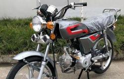 Мотоцикл promax альфа С в Брянске - объявление №1548361