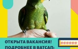 Предлагаю работу : Открыта онлайн вакансия в Аксае - объявление №156159