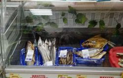 Продам: Витрину холодильную в Томске - объявление №159171
