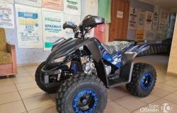 Квадроцикл Yacota Sporty RS8(синий) в Омске - объявление №1629914