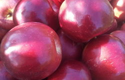 Продам: Яблоки айдаред  в Нальчике - объявление №163761