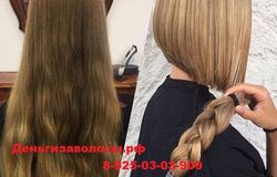 Ищу: Волосы!Дорого! в Санкт-Петербурге - объявление №165273