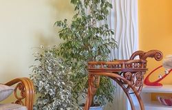 Продам: Мебель из ротанга в гостнную (новая) Hello Hobby 