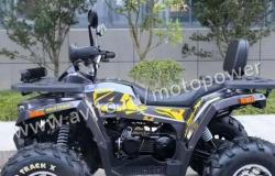 Квадроцикл Motoland wild track LUX 200 черно-желты в Барнауле - объявление №1732641