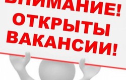 Предлагаю работу : Онлайн — сотрудник интернет магазина    в Кызыле - объявление №176678