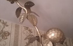 Продам: Продам денежное дерево в Туле - объявление №182057