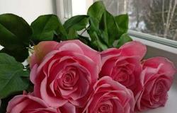 Розы из фоамирана в Томске - объявление №1843152