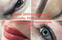 Предлагаю: Перманентный макияж бровей, губы и веки пудровые лапы  в Новосибирске - объявление №1871801
