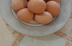 Продам: домашние  яйца  в Невинномысске - объявление №191007