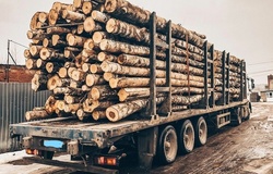 Куплю: Куплю лес кругляк березу, сухару на дрова в Екатеринбурге - объявление №195160