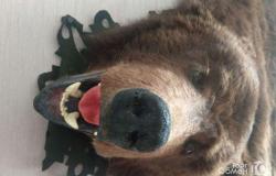 Шкура медведя (имитация) в Иркутске - объявление №1960047