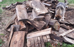 Продам: Продажа дров в Йошкар-Оле - объявление №201532