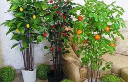 Искусственные фруктовые деревья в Казани - объявление №2047783