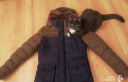 Куртка зимняя и демисезонная мужская 48 размер, М в Ярославле - объявление №2050164