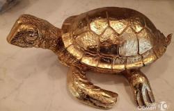 Продам золотую черепаху в Ярославле - объявление №2065935