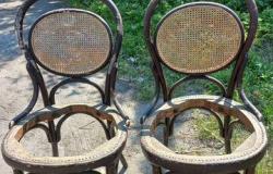 Старинные венские стулья в Санкт-Петербурге - объявление №2066785