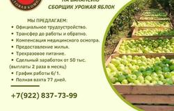 Предлагаю работу : Требуются сборщики урожая яблок (Вахта. Крым) в Оренбурге - объявление №208015