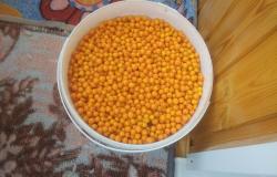 Продам: Облепиха в Ульяновске - объявление №2087040