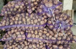 Продам: Качественные овощи с алтайской фермы от поставщика в Барнауле в Барнауле - объявление №2087854