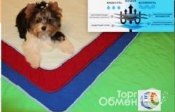 Продам: Многоразовые пеленки для собак, пеленка туалет в Москве - объявление №2088097