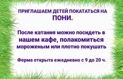 Предлагаю: Катание на пони! в Москве - объявление №2091175
