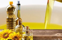 Продам: Масло подсолнечное рафинированное дезодорированное от производителя в Москве - объявление №2091327