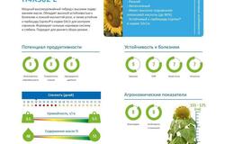 Продам: Посевной подсолнечник Н4ЛМ408 в Краснодаре - объявление №2091344