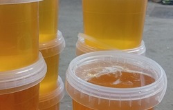 Продам: Натуральный мёд  в Каспийске - объявление №2092232