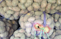 Продам: Картофель на еду в Заводоуковске - объявление №2092239