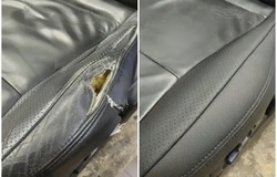 Предлагаю: Ремонт и реставрация салона авто в Уфе - объявление №2092296