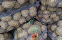 Продам: Картофель и Лук с бесплатной доставкой на дом  в Сарапуле - объявление №2092342