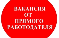 Предлагаю работу : Упаковщики  в Йошкар-Оле - объявление №2092664