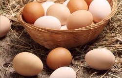 Продам: Яйца куриные  в Усть-Илимске - объявление №213668