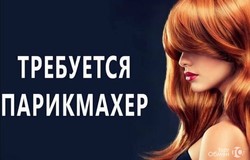 Предлагаю работу : Требуется парикмахер универсал в Соликамске - объявление №219510