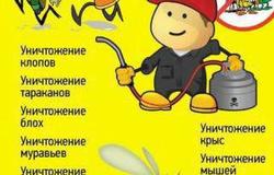 Предлагаю: Уничтожение насекомых всех видов в Омске - объявление №29243