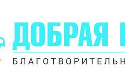 Предлагаю работу : Промоутер-волонтер в Нижнем Новгороде - объявление №35660