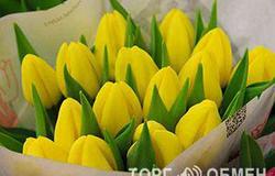 Продам: Голландские тюльпаны оптом 2017 в Иркутске - объявление №37000
