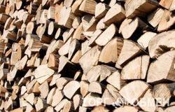 Продам: Продам дрова береза,осина в Ярославле - объявление №38733